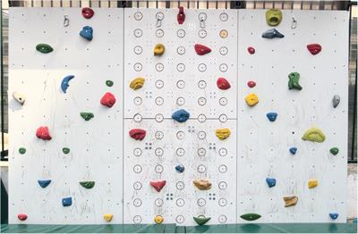 Design of a sensor network for the quantitative analysis of sport climbing